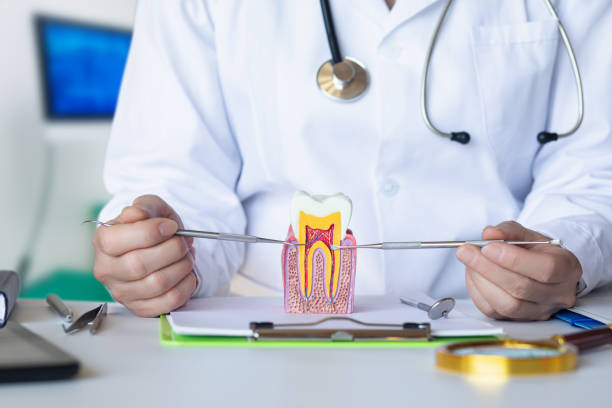 Best Emergency Tooth Extraction in Arthurtown, SC